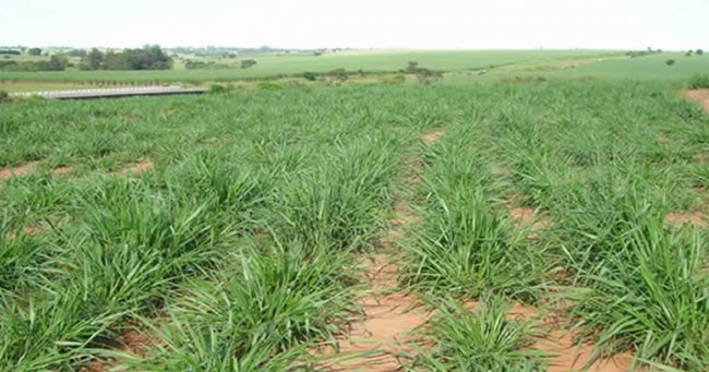 estudo-de-caso_1200X630