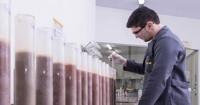 Cuidar bem do solo é o primeiro passo Cuidar bem do solo é o primeiro passo