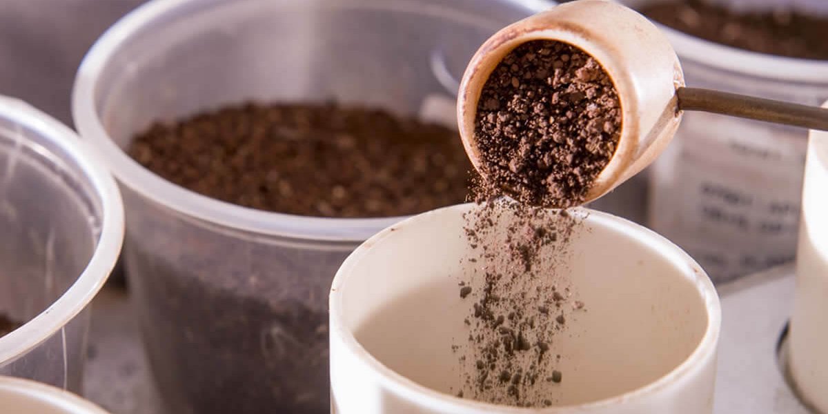 Problemas no Diagnóstico da Disponibilidade do Fósforo (“P”) no Solo