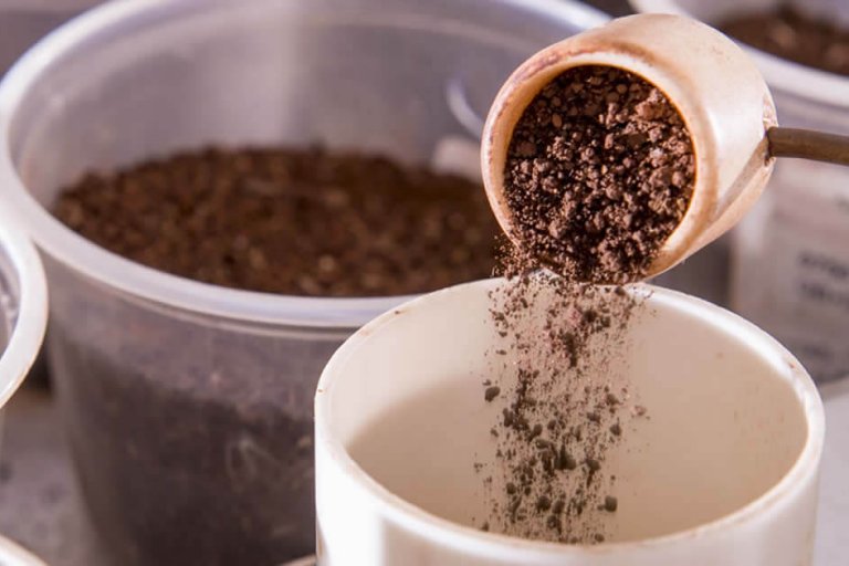 Problemas no Diagnóstico da Disponibilidade do Fósforo (“P”) no Solo