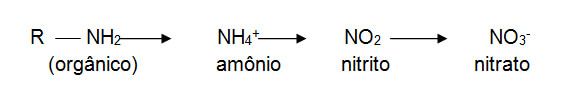 reacao-nitrogenio-1